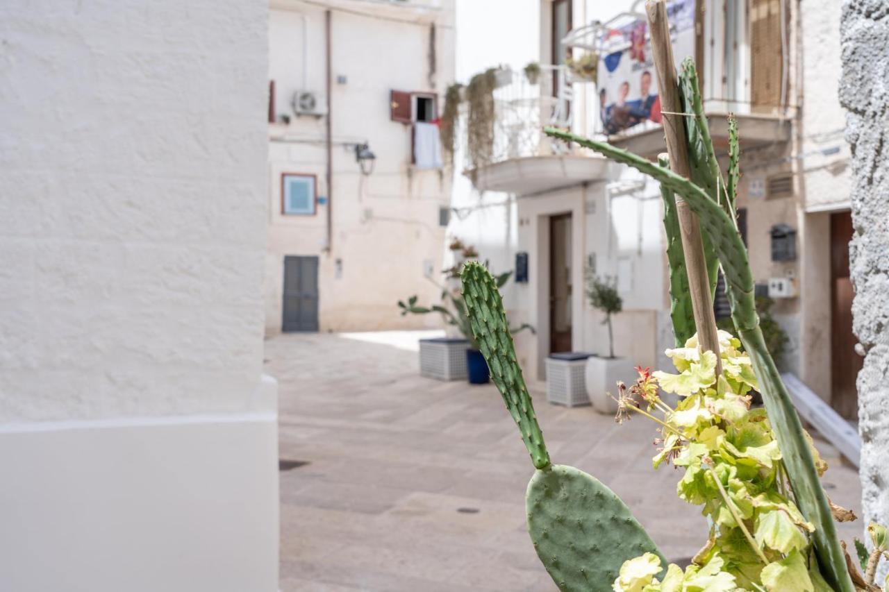 Wineart House, Terracielo Indipendente Nel Centro Di Monopoli Apartment Bagian luar foto